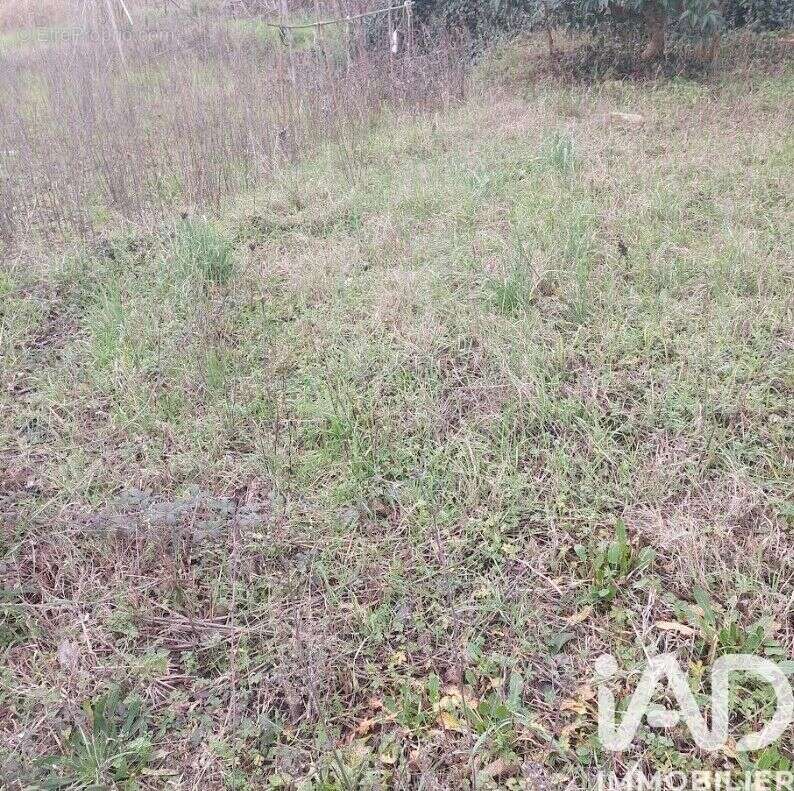 Photo 6 - Terrain à GENERAC