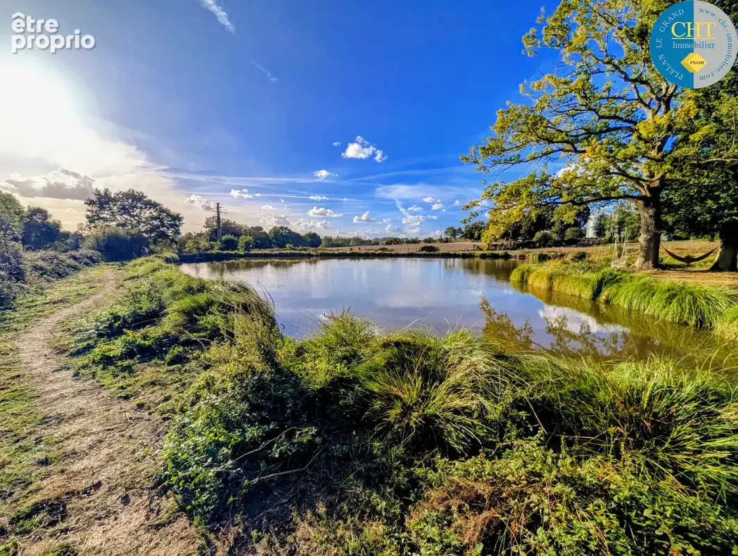 A vendre ÉTANG ET SOURCE sur parcelle d'1,50 hectare À MERNEL (35330) AVEC CHT IMMOBILIER - photo 5