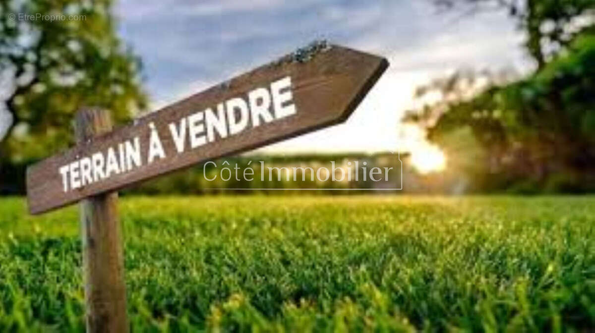 Villeneuve en retz - photo 2