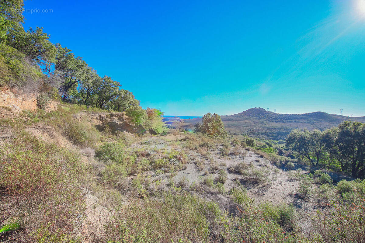 Terrain à OLMETA-DI-TUDA