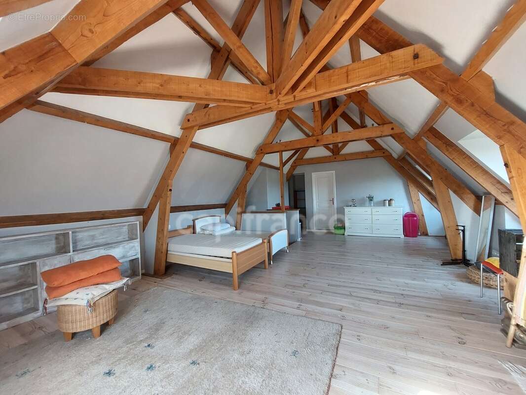 Maison familiale de 244m² à Belvès, 8 pièces, 5 chambres, avec vue dégagée et appartement spacieux indépendant, terrain de 3088m - photo 25