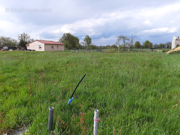 Terrain à SAINT-BENIGNE