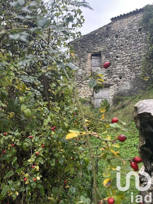Photo 2 - Maison à LE MAS