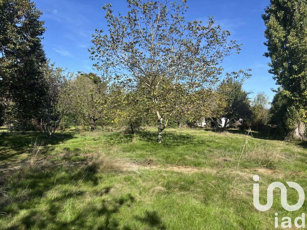 Photo 3 - Terrain à LABASTIDE-DU-TEMPLE