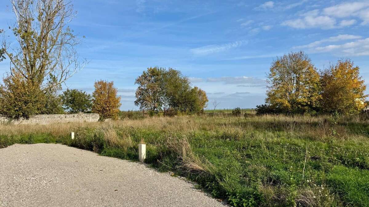 Photo 2 - Terrain à MONCEAU-LE-WAAST