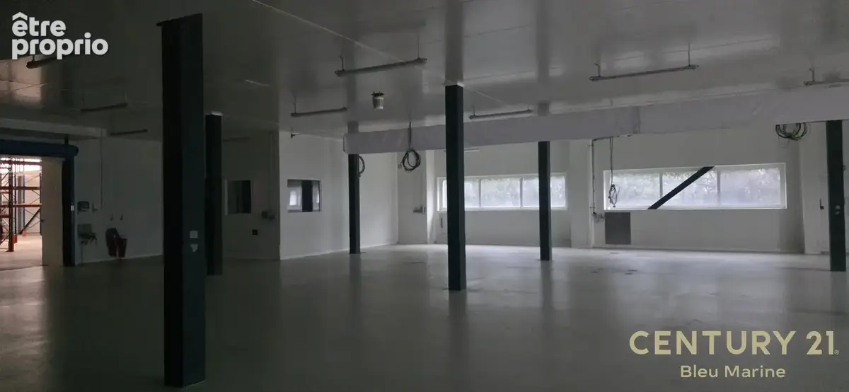 Commerce 3 600 m² à vendre à L'ile-D'olonne (85340) - photo 4