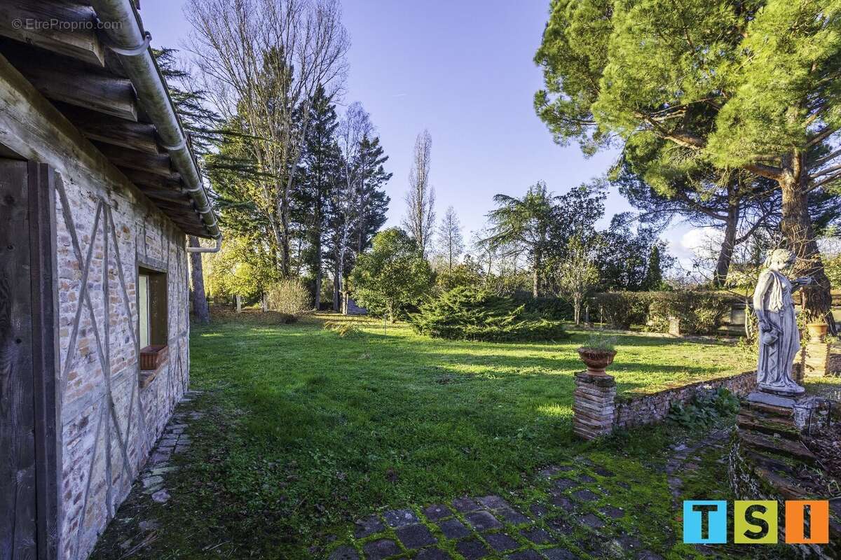 Maison à MONTESQUIEU-VOLVESTRE