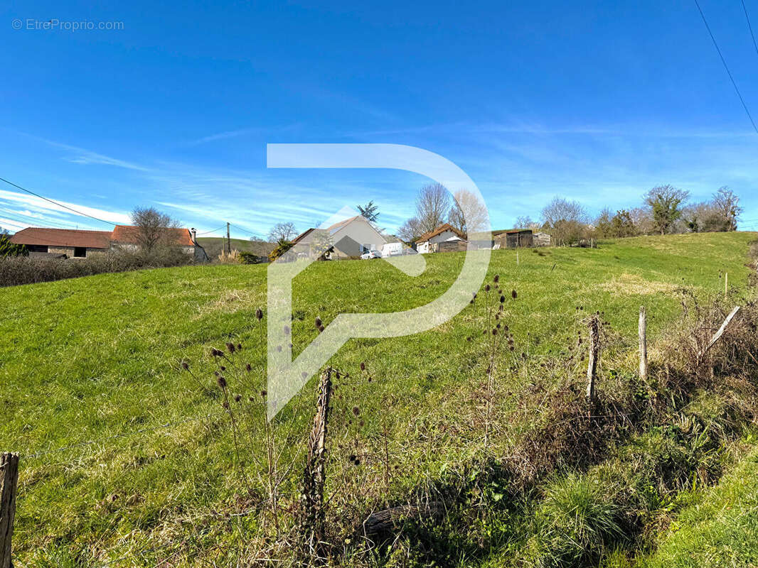 Terrain à VIELLESEGURE