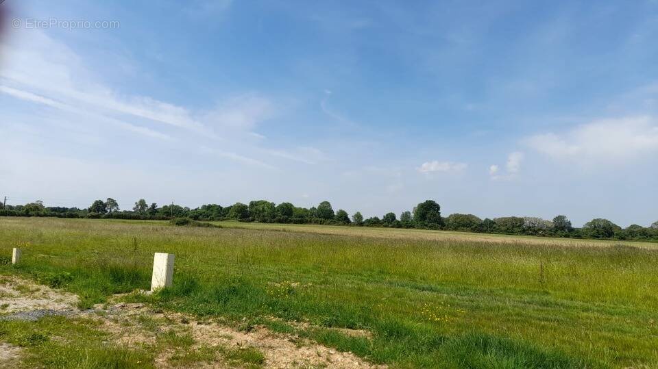 Terrain à MANERBE