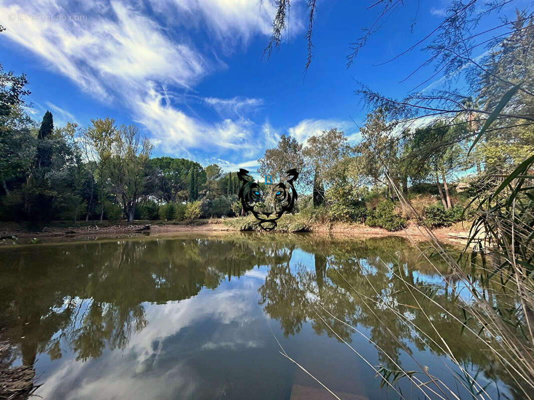Maison à ROQUEBRUNE-SUR-ARGENS