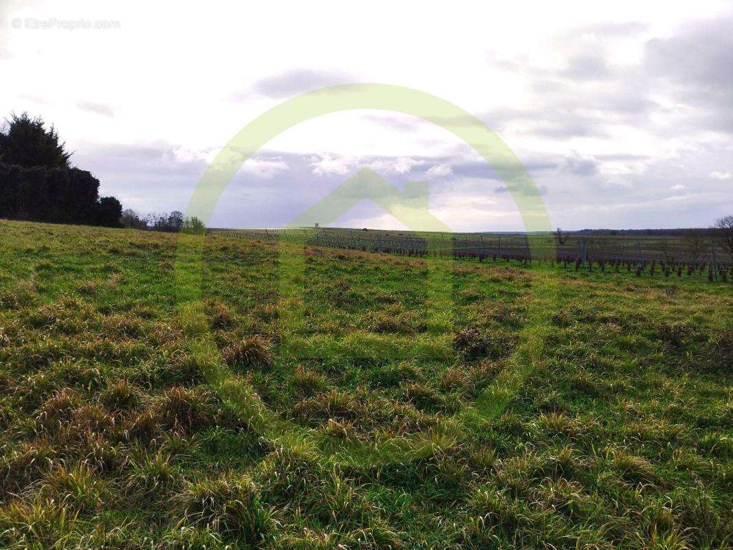 Terrain à SAINT-MAIGRIN