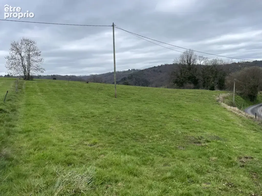 Entre Objat et Juillac, campagne - photo 8