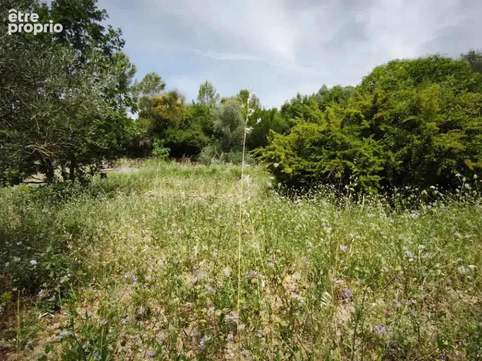 Terrain à BELGENTIER