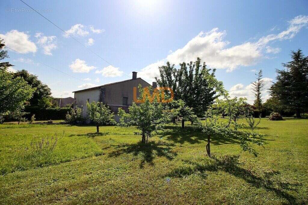 Maison à SALLES-D'ANGLES