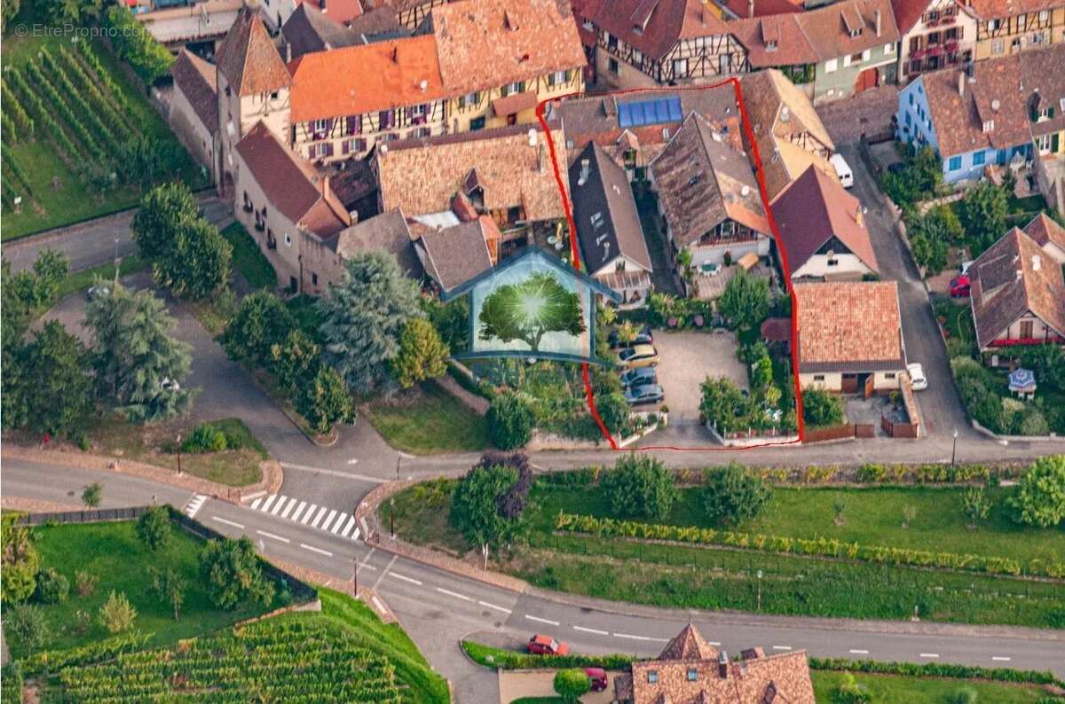 AMMERSCHWIHR (68) - Gîte & Chambres d'Hôtes Clé en Main - photo 31