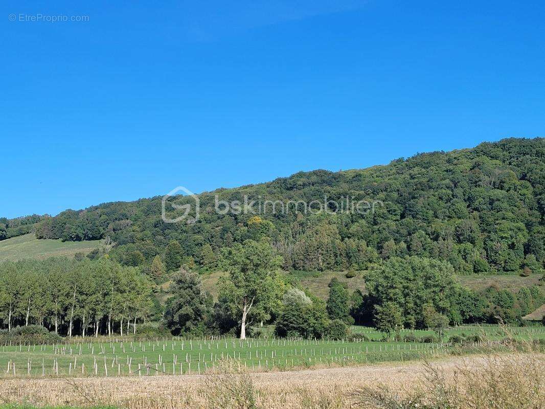 Maison à CHARAVINES