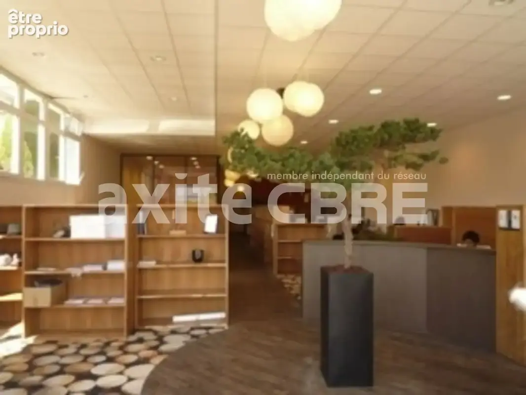 Commerce 278 m² à vendre à Cran-Gevrier (74960) - photo 2