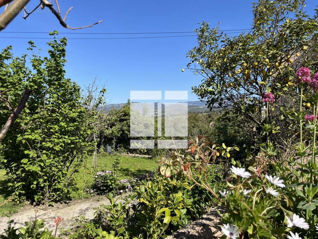 Maison à PIETROSELLA