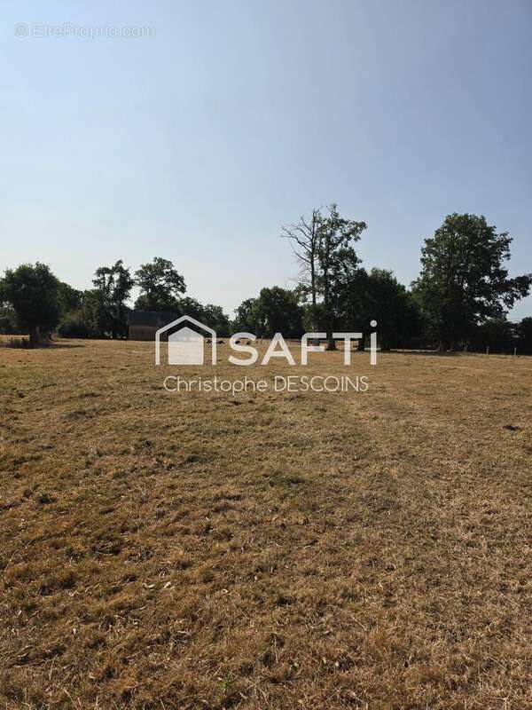 Terrain 96004 m² à Loiron  - photo 3