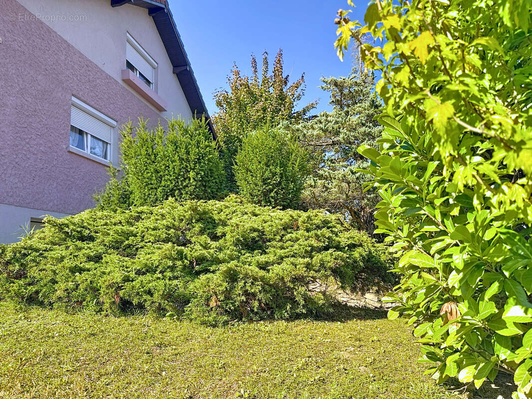 Maison à TAILLECOURT