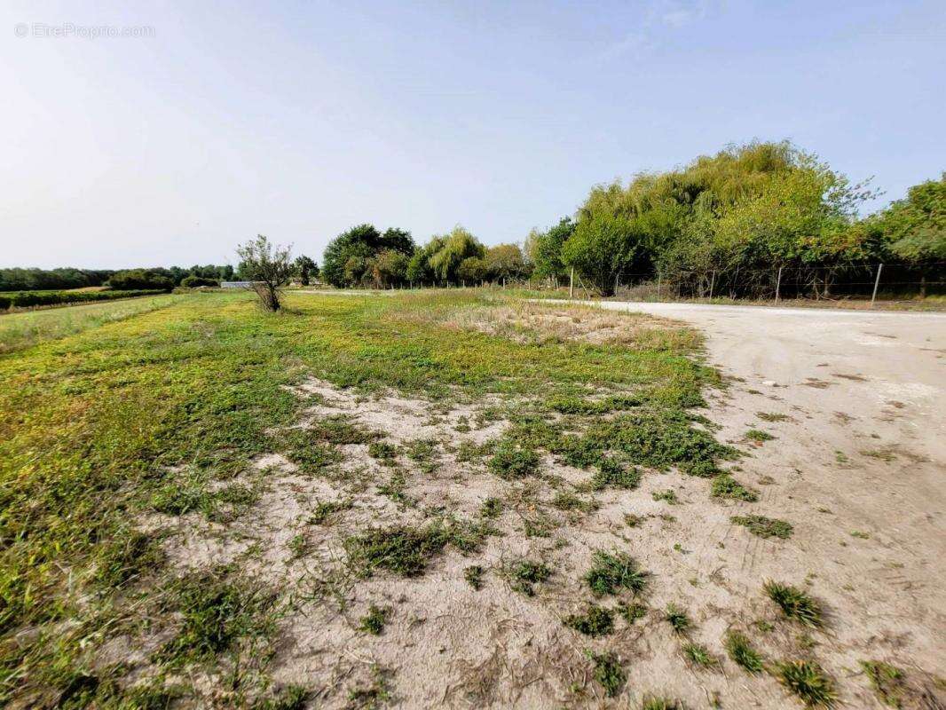 Maison à SAINT-CIERS-SUR-GIRONDE