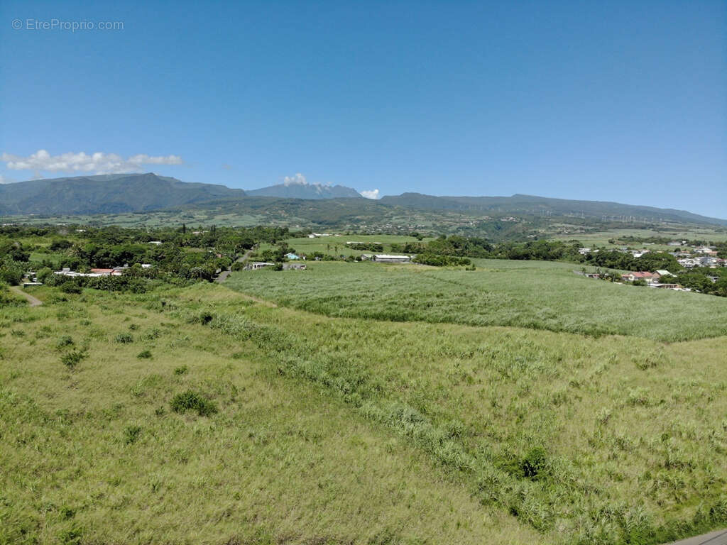 Terrain à SAINTE-SUZANNE