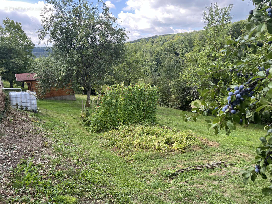 Maison à L'ISLE-SUR-LE-DOUBS