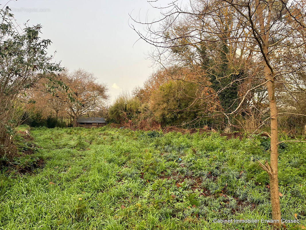 Terrain à PLOMEUR