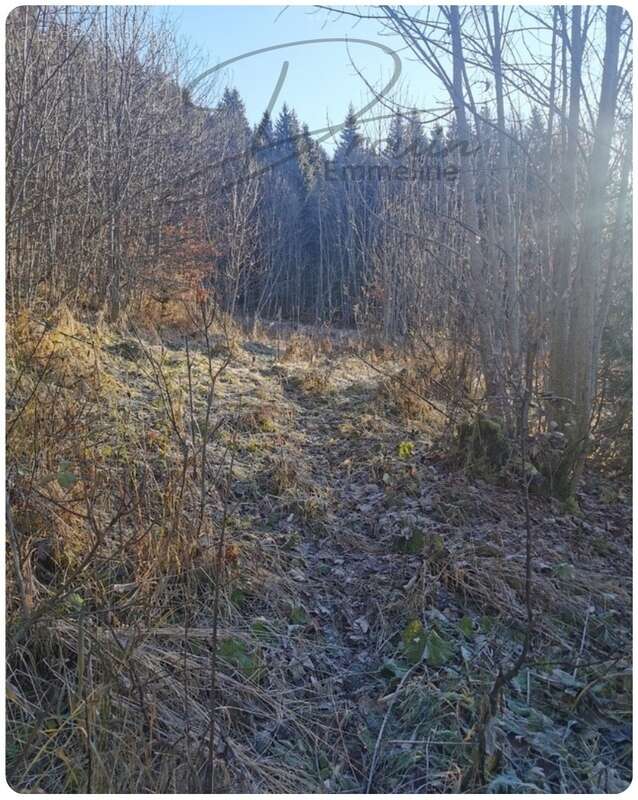 Terrain à ARACHES-LA-FRASSE