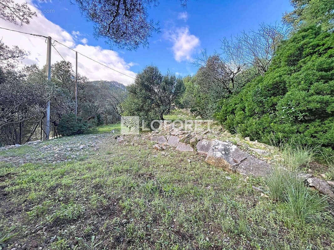 Maison à LA VALETTE-DU-VAR