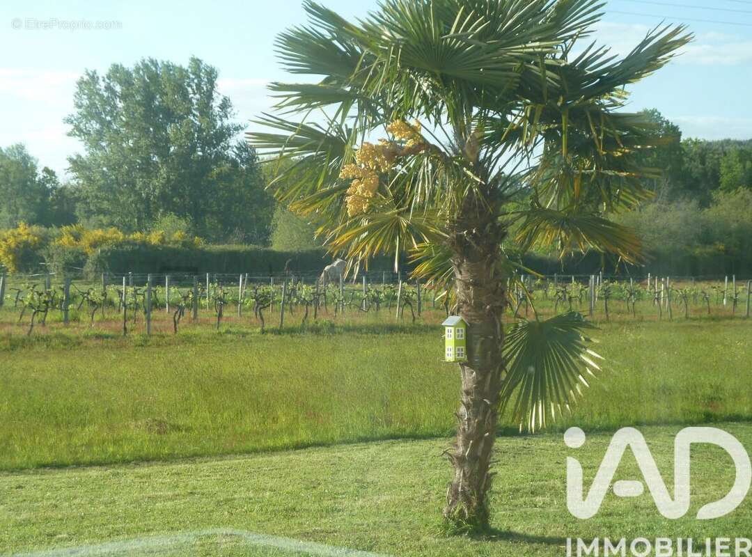 Photo 3 - Maison à AMBARES-ET-LAGRAVE