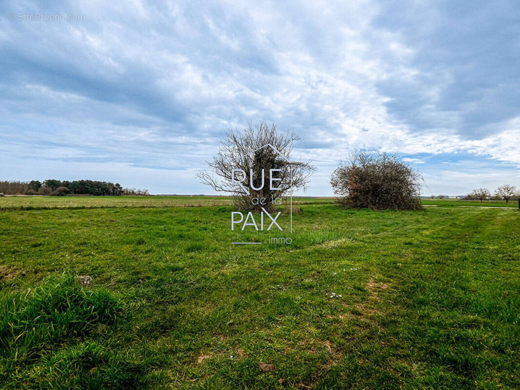 Terrain à SAINT-CLAIR