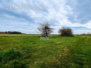 Terrain à SAINT-CLAIR