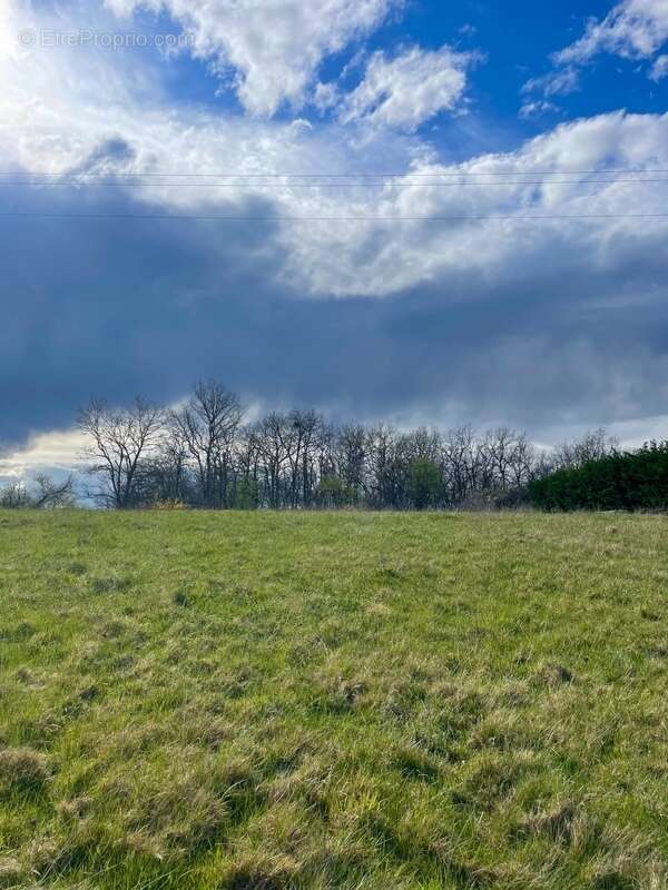 Terrain à LA SALVETAT-BELMONTET