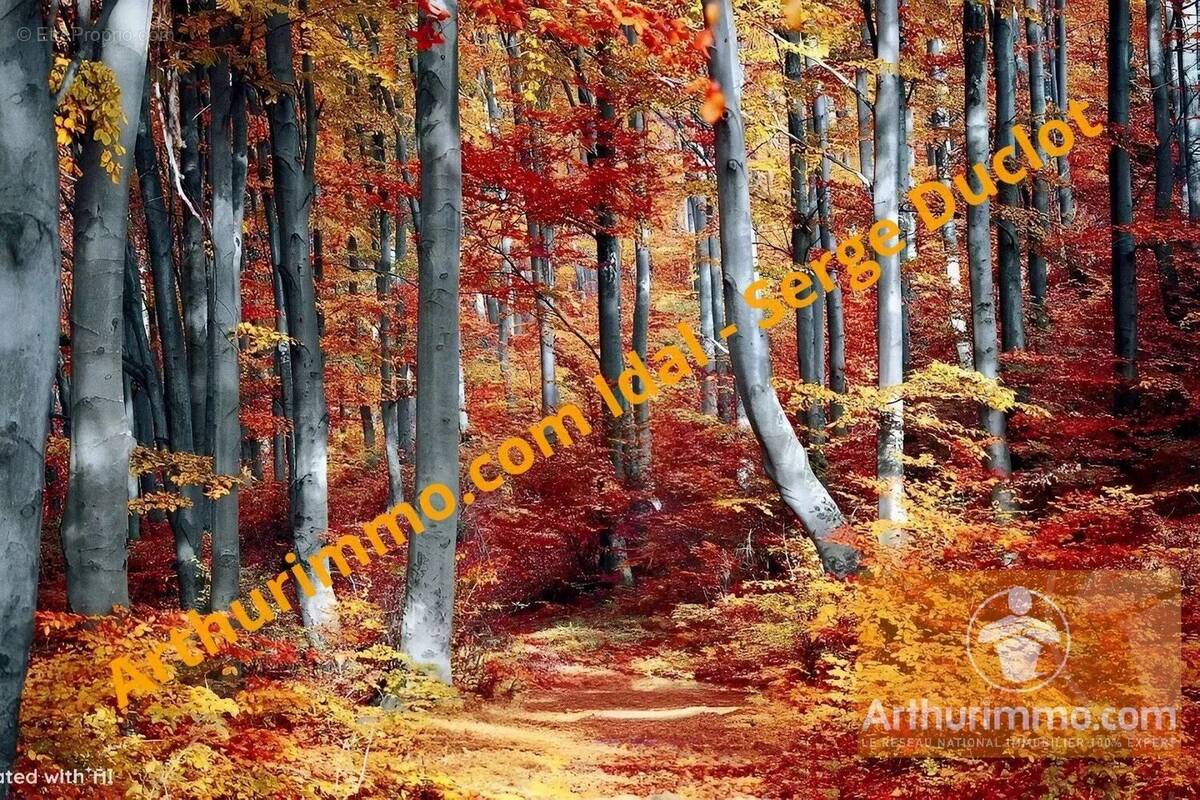 Terrain à SAINT-DENIS-EN-MARGERIDE
