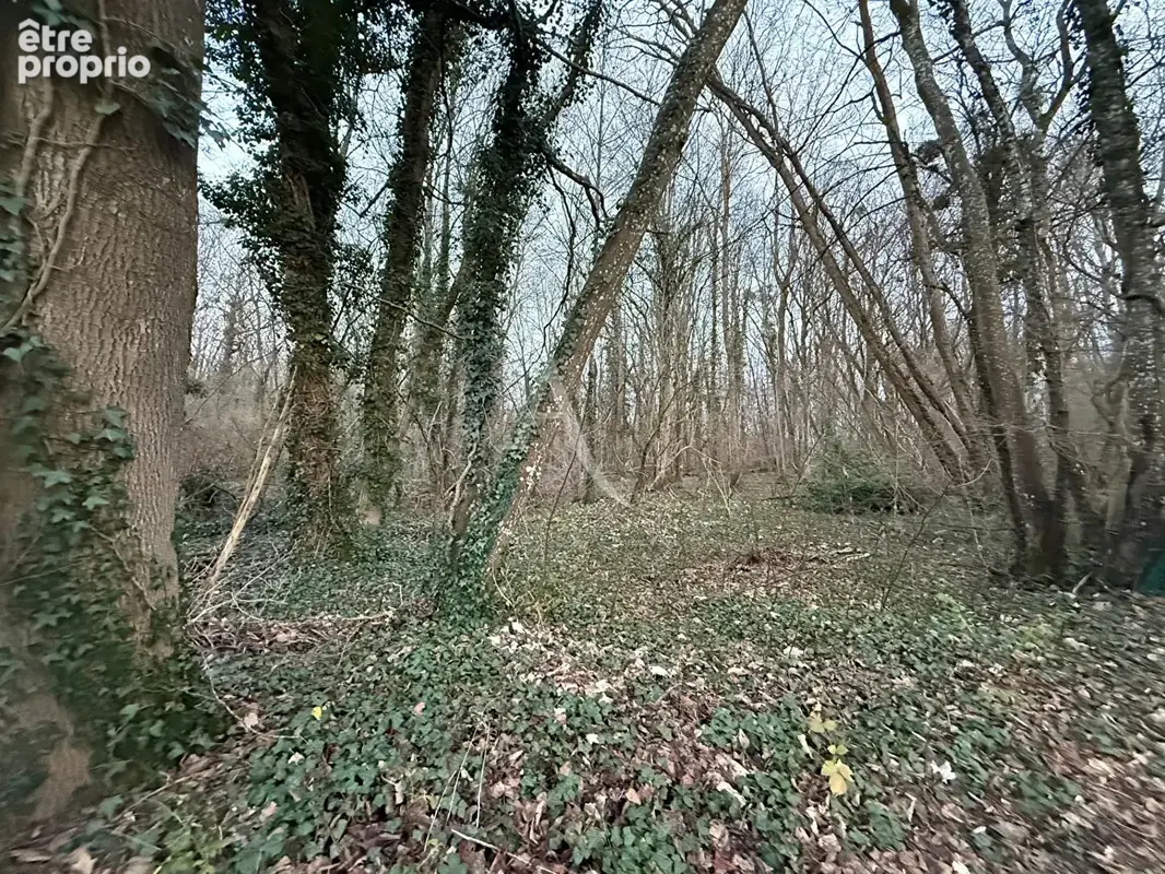 Terrain à LE CHATELET-EN-BRIE
