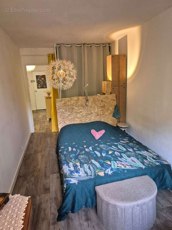 Appartement T2 avec locataire en place-idéal investissement locatif - photo 4