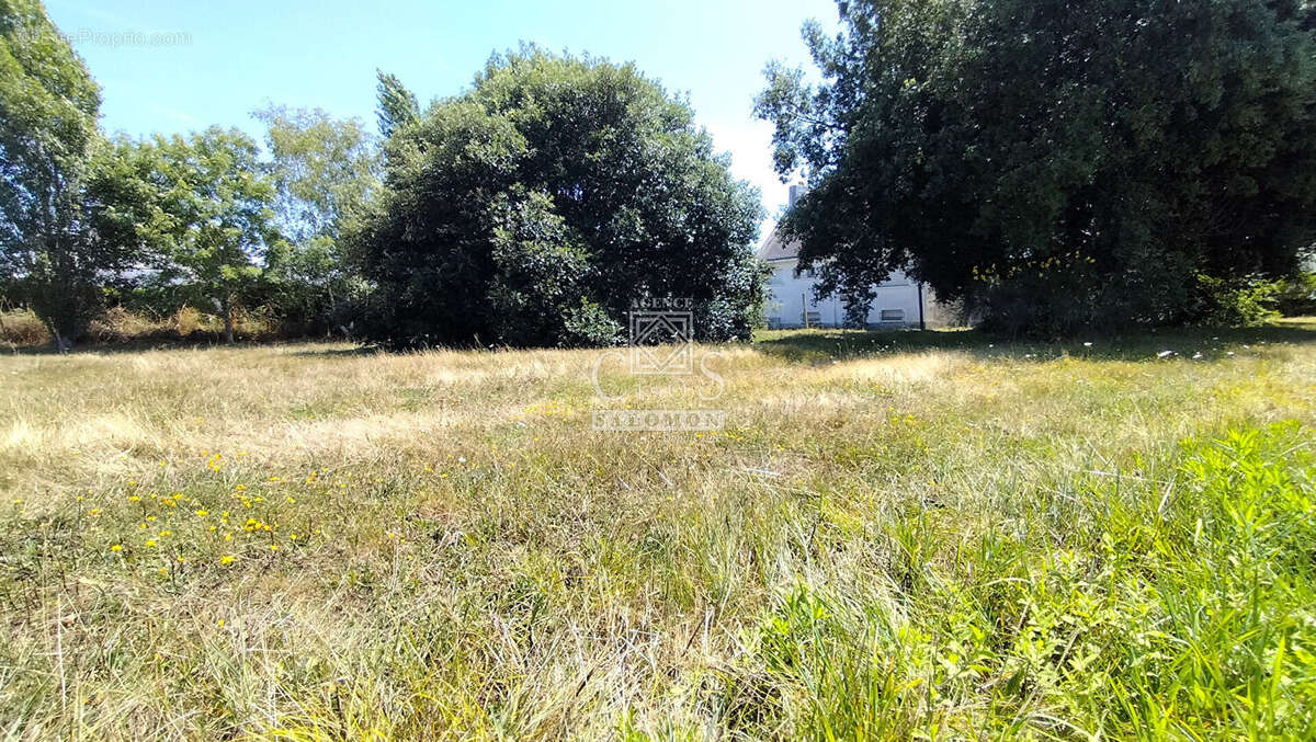 Terrain à SAINT-GILDAS-DE-RHUYS