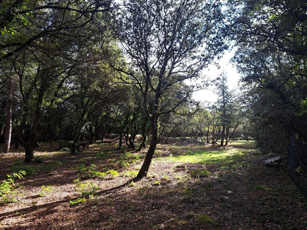 Photo 2 - Terrain à CABRIERES-D&#039;AVIGNON