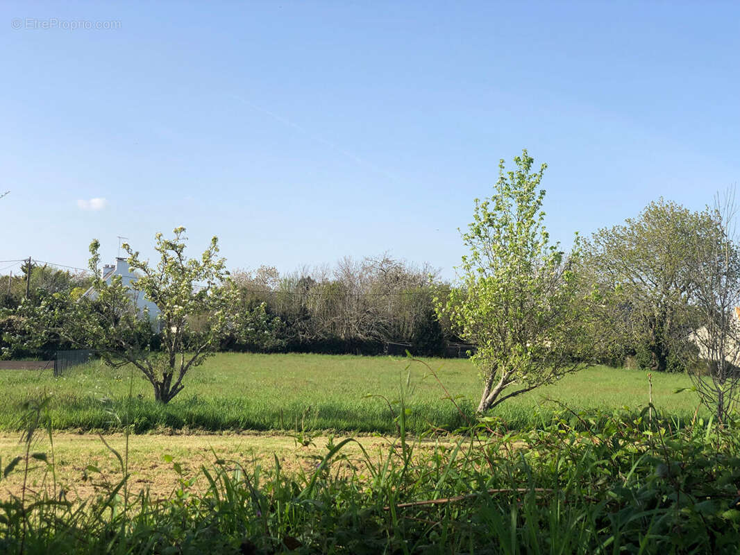 Terrain à LA FORET-FOUESNANT