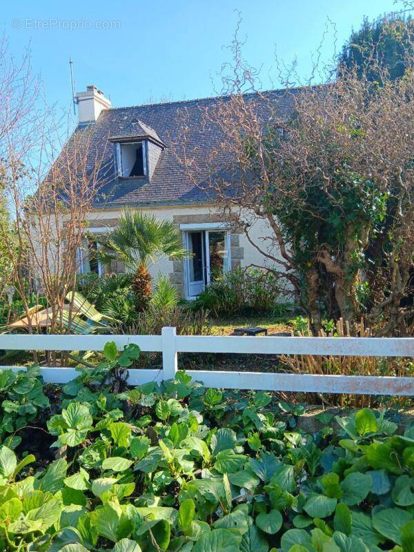 Maison à GROIX