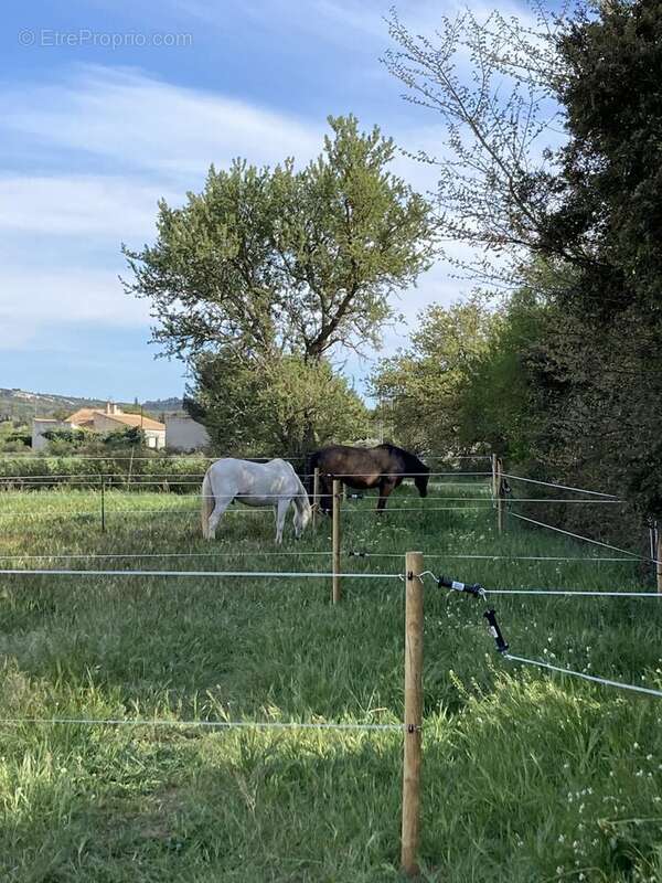 Maison 140 m² à Lancon-Provence  - photo 5