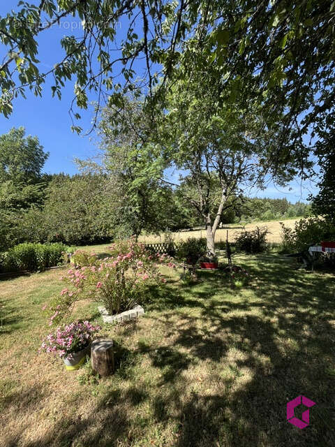 Maison pierres terrain - photo 10