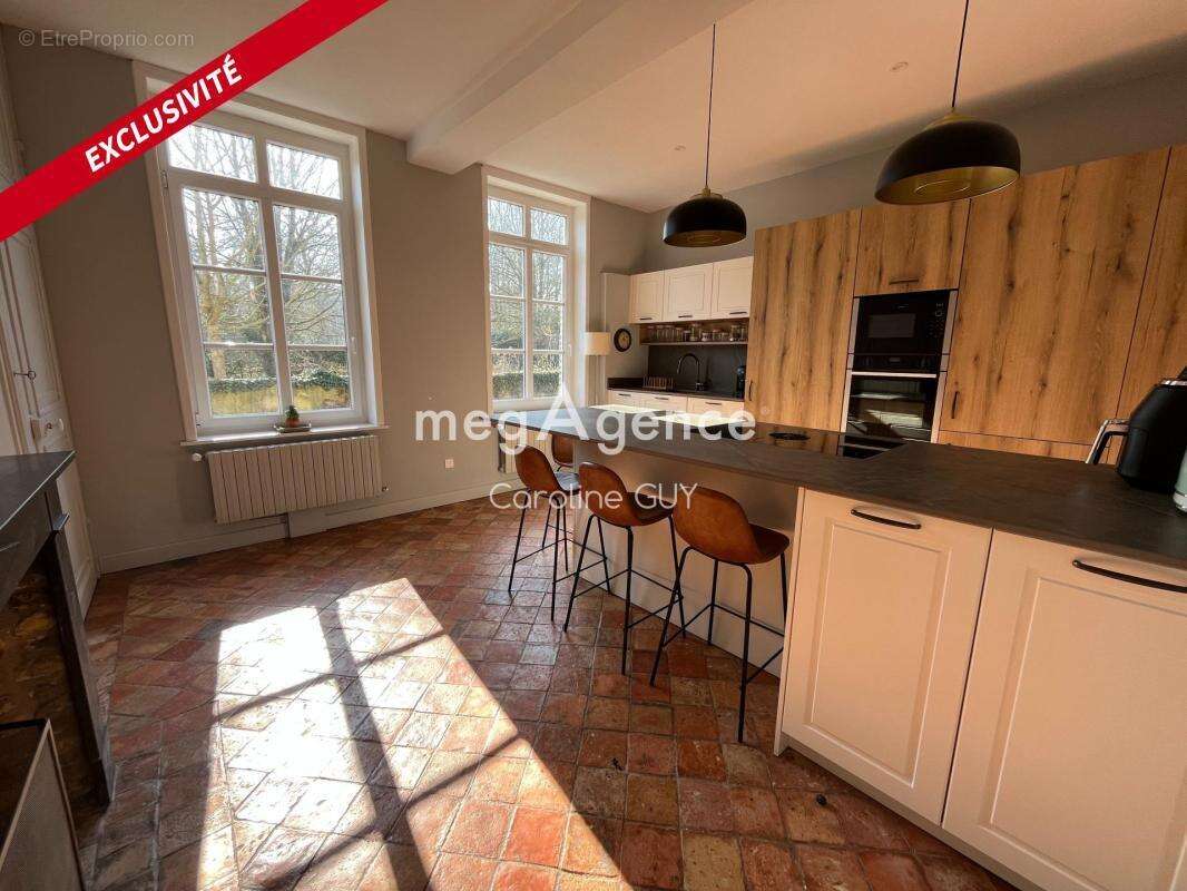 Maison de maître, 267 m2, 5 chambres, jardin et garages - photo 9