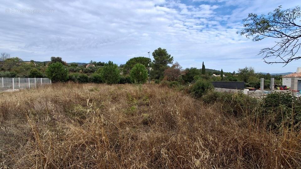 Terrain à SAINT-MAXIMIN-LA-SAINTE-BAUME