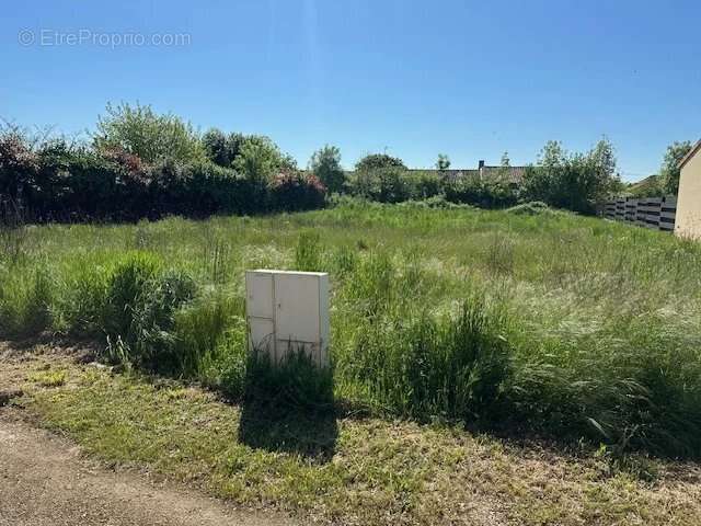 Terrain à CHATEAU-LARCHER
