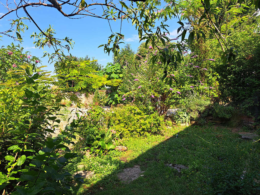 Bâtisse en pierre à réhabiliter, vue sur le vignoble Jurassien à Ménétru-Le-Vignoble (39210), 1818m² de jardin arboré - photo 8