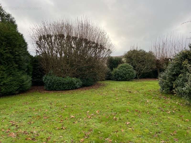 Terrain à SAINT-CREPIN-IBOUVILLERS