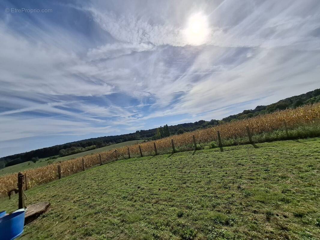 Terrain à SAINTE-SABINE-SUR-LONGEVE