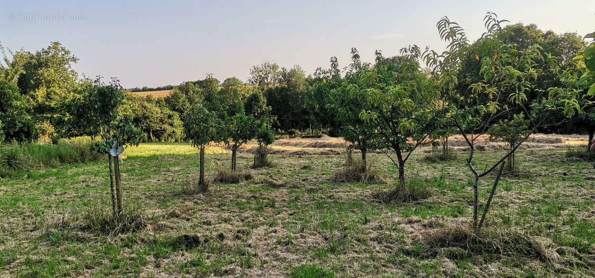 Maison de campagne, en pierres, avec près d'1 hectare, dépendances et fort potentiel - photo 7